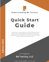 B6 Toxicity Quick Start Guide